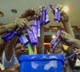 Dairy Milk