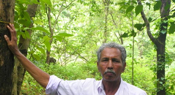 Abdul Kareem