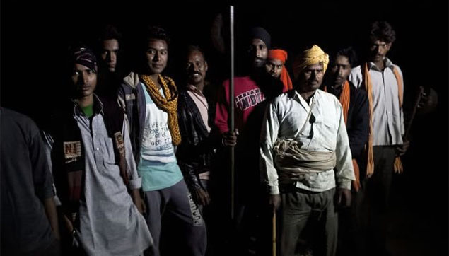 Cow Vigilantes