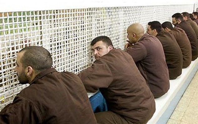 Palestine hunger strike