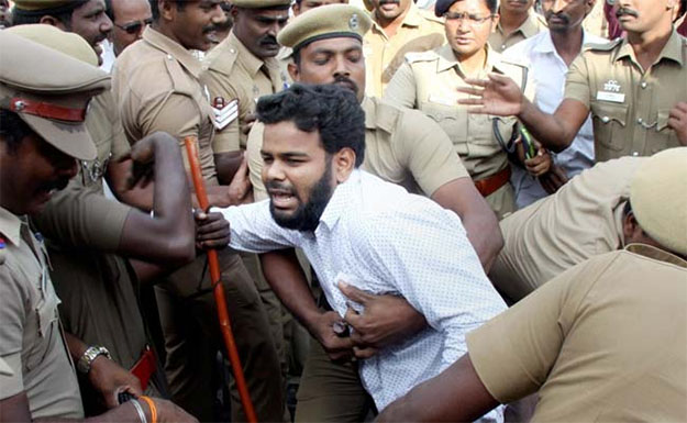 Jallikattu