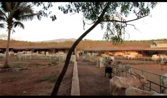 Goa Meat Complex