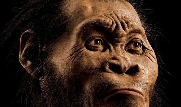 Darwin's Theory