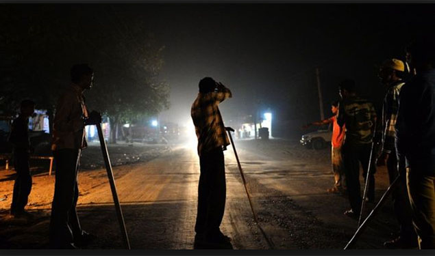 Cow Vigilante