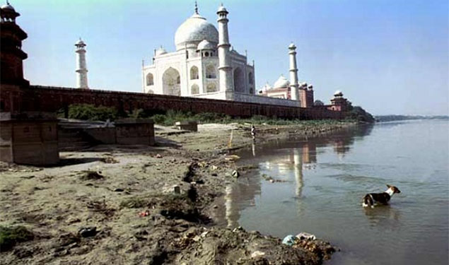 Save Taj Mahal