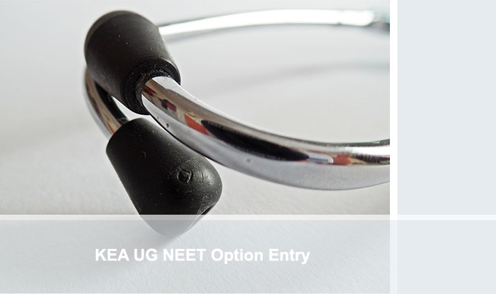 KEA UG NEET 2019 Option Entry
