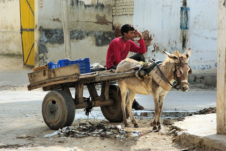 India CAA NRC Economy