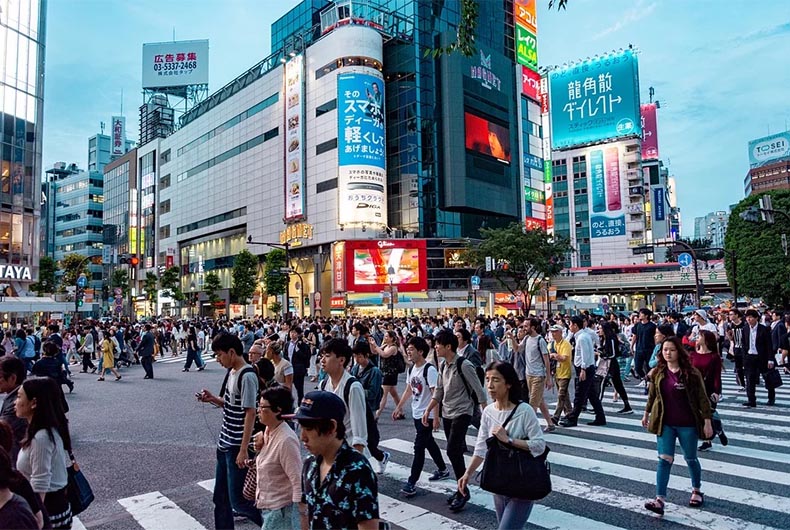 Japan Domestic Violence
