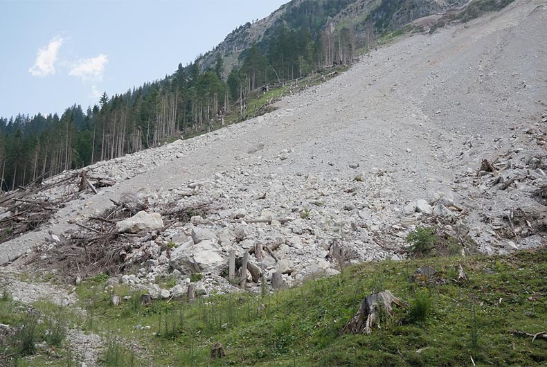 Northeast India Landslide