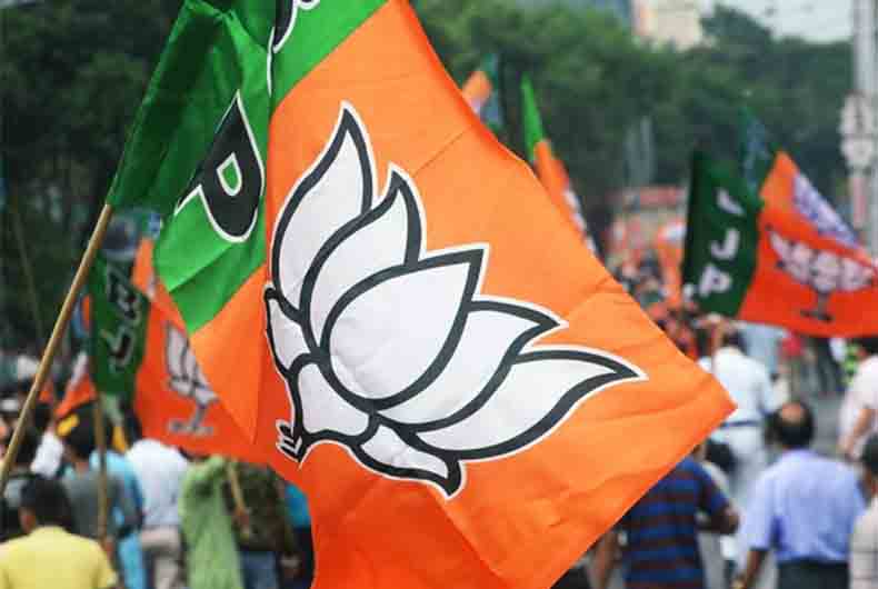 BJP Election Expenditure