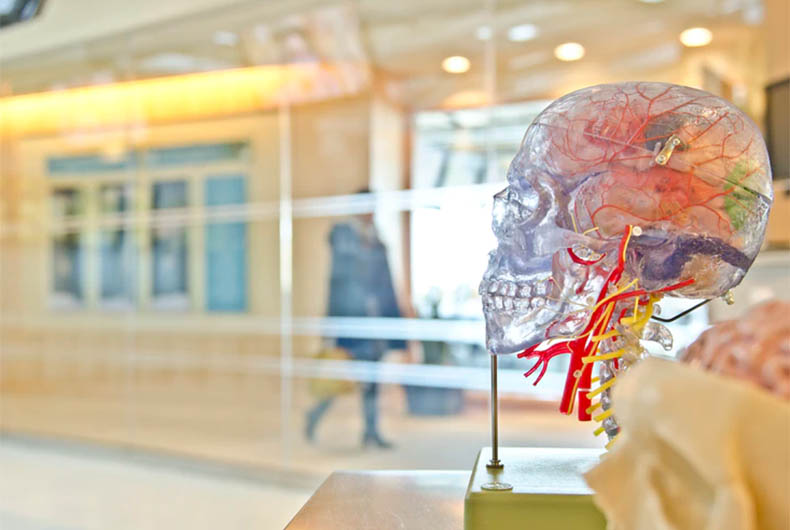 Medical Tourism