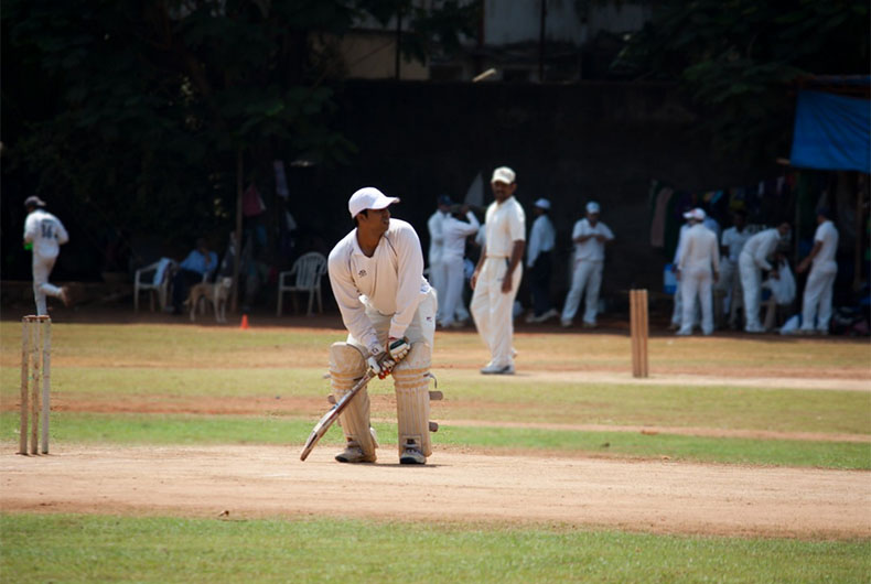 Cricket and Politics
