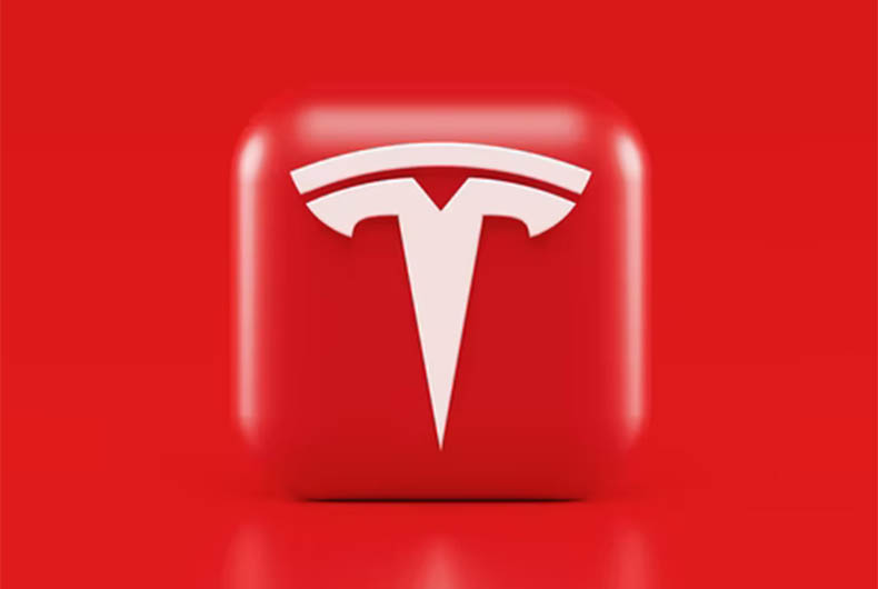Musk Twitter Poll