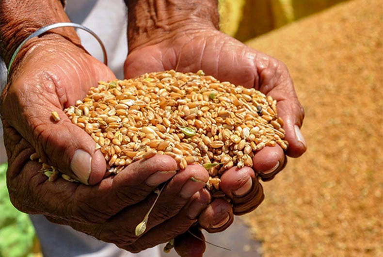Farm Reforms