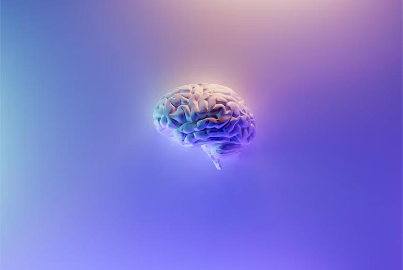 Revealed: How brain stores remote fear memory