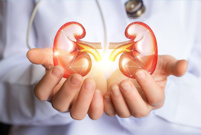 Obesity impact on Kidney