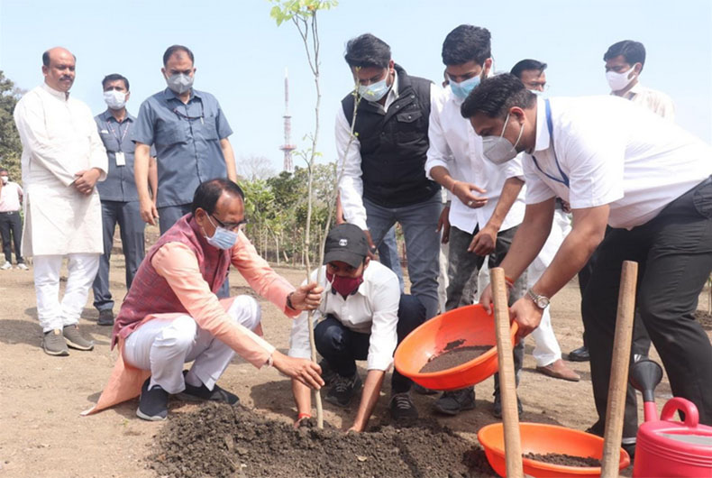 Madhy Pradesh Economy Report