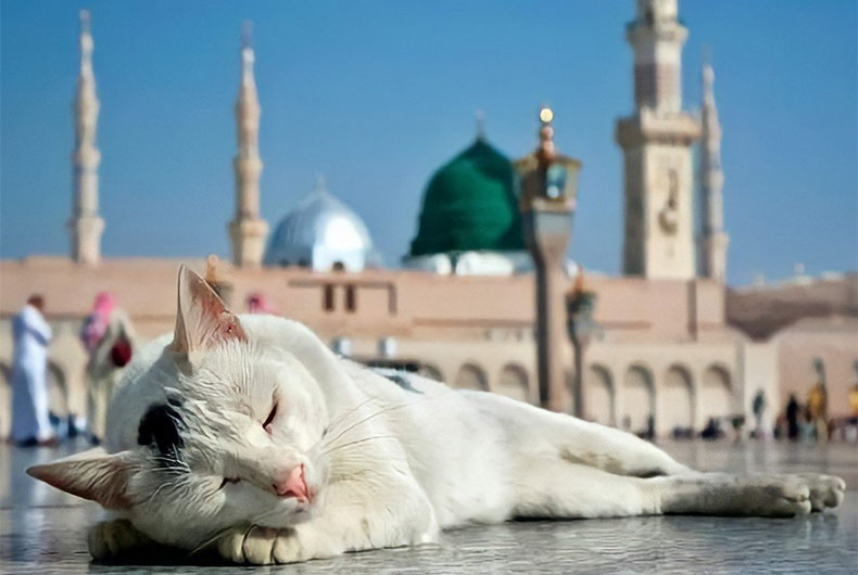 Ramadan Umrah