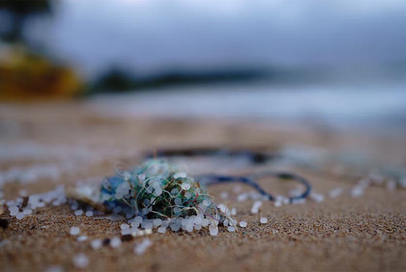 Microsplastic Pollution