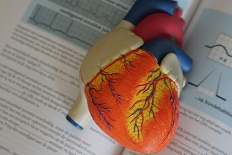 Heart Disease