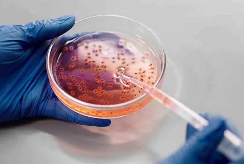 E.coli, 4 other bacteria behind 6.8 lakh deaths in India in 2019: Lancet