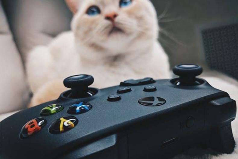 Microsoft explains how more personalised home screen will improve Xbox user experience