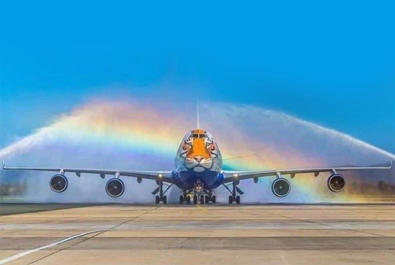 Cheetah plane