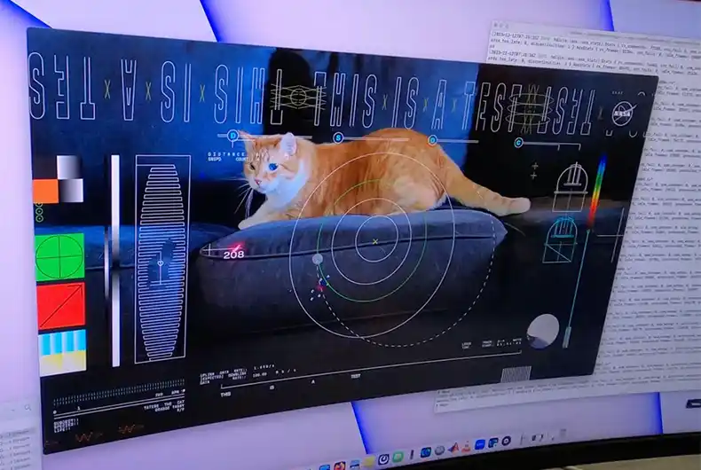 Watch: NASA video of tabby cat beamed from deep space