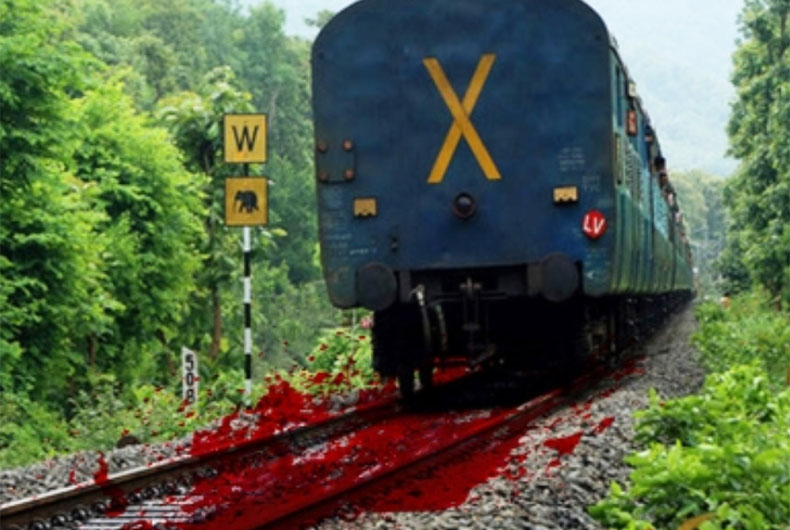 Goods train wagons run over 8 workers in Odisha, 6 killed