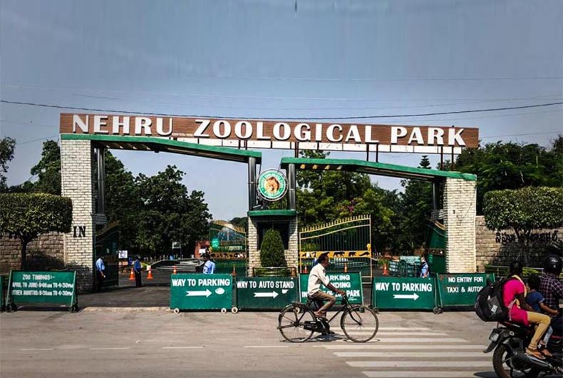 'Abdullah' gifted by Saudi Prince dies of heart attack at Hyderabad Zoo