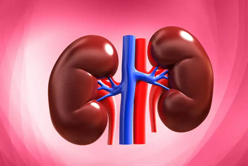 7 ways to protect yourself from kidney cancer