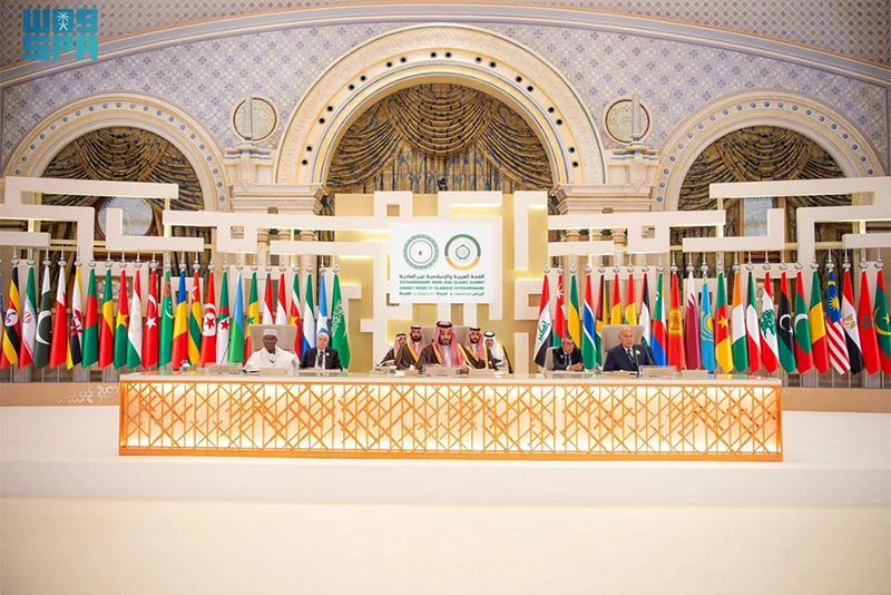 '... Our brothers in Palestine, Lebanon': Saudi Arabia's strong message at Arab-Islamic Summit