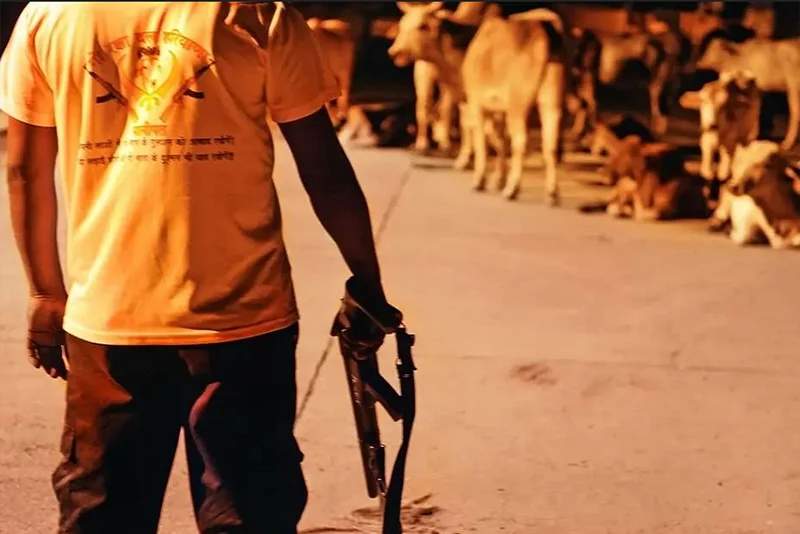 Beef in Tirupati Laddu and Curious Silence of Cow Vigilantes