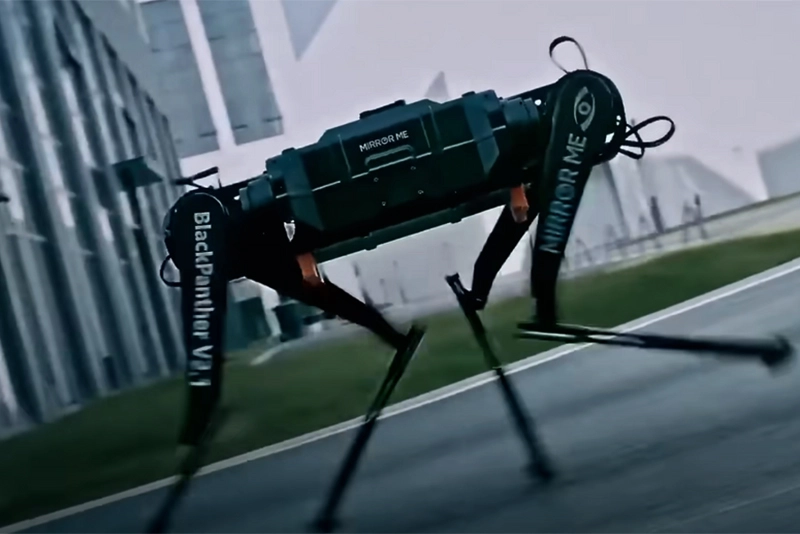 Watch: China marks new speed milestone in robotics