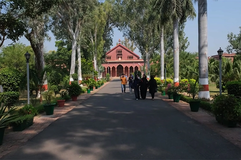 AMU Physicists Honoured as ALICE Wins 2025 Breakthrough Prize