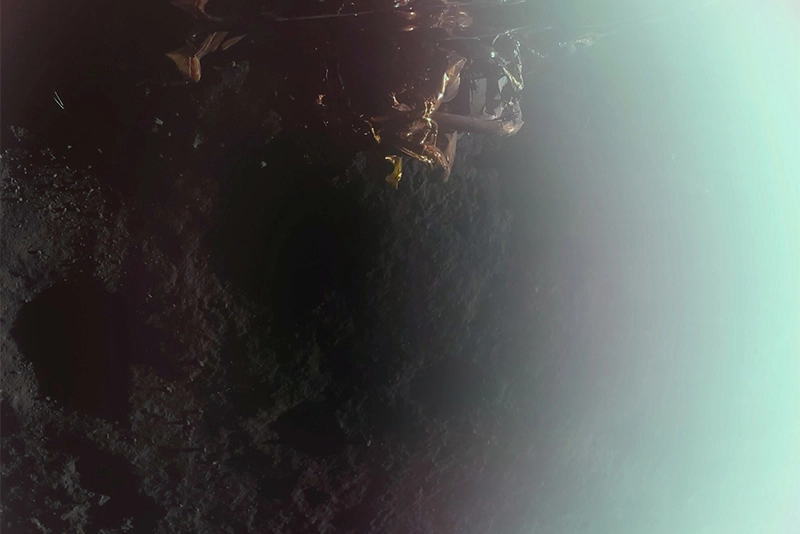 Firefly's Blue Ghost sends first image after landing on Moon