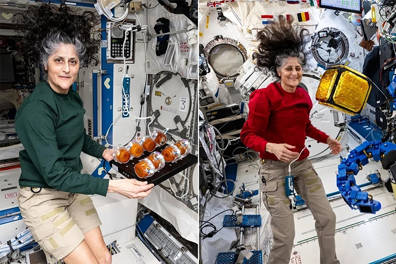 Will Suni Williams, Butch Wilmore return as normal human?