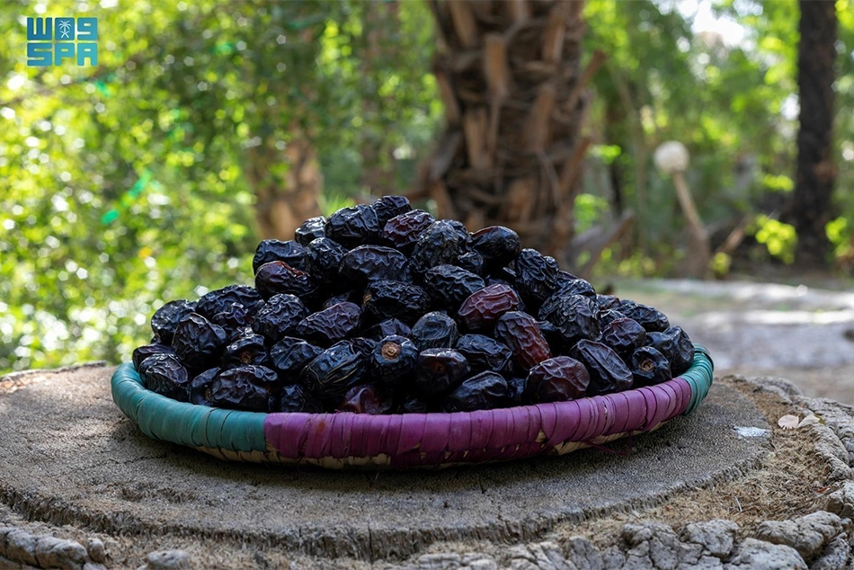 The Prophet's City Madinah joins UNESCO Creative Cities Network