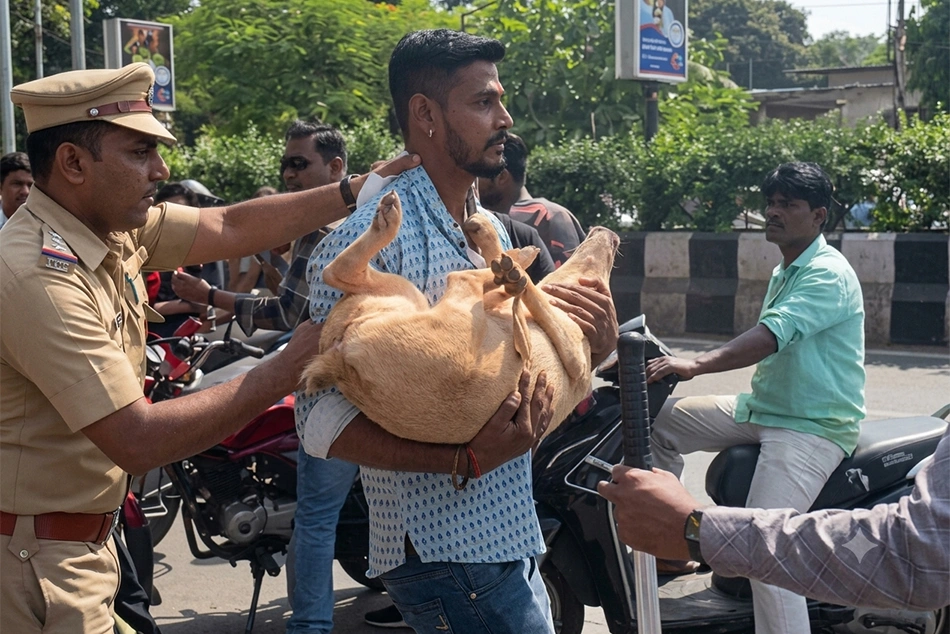 Urgent Need to Restore Harmony as Festivals Become New Ground to Spread Hate